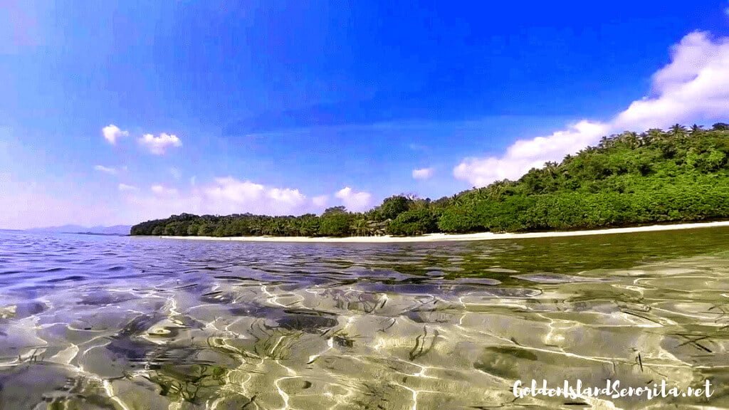 mamangal beach catanduanes
