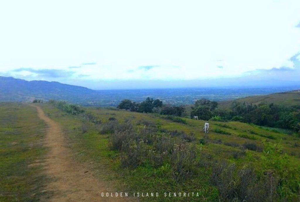 Mt. Talamitam in Nasugbu, Batangas - Day Hike Guide