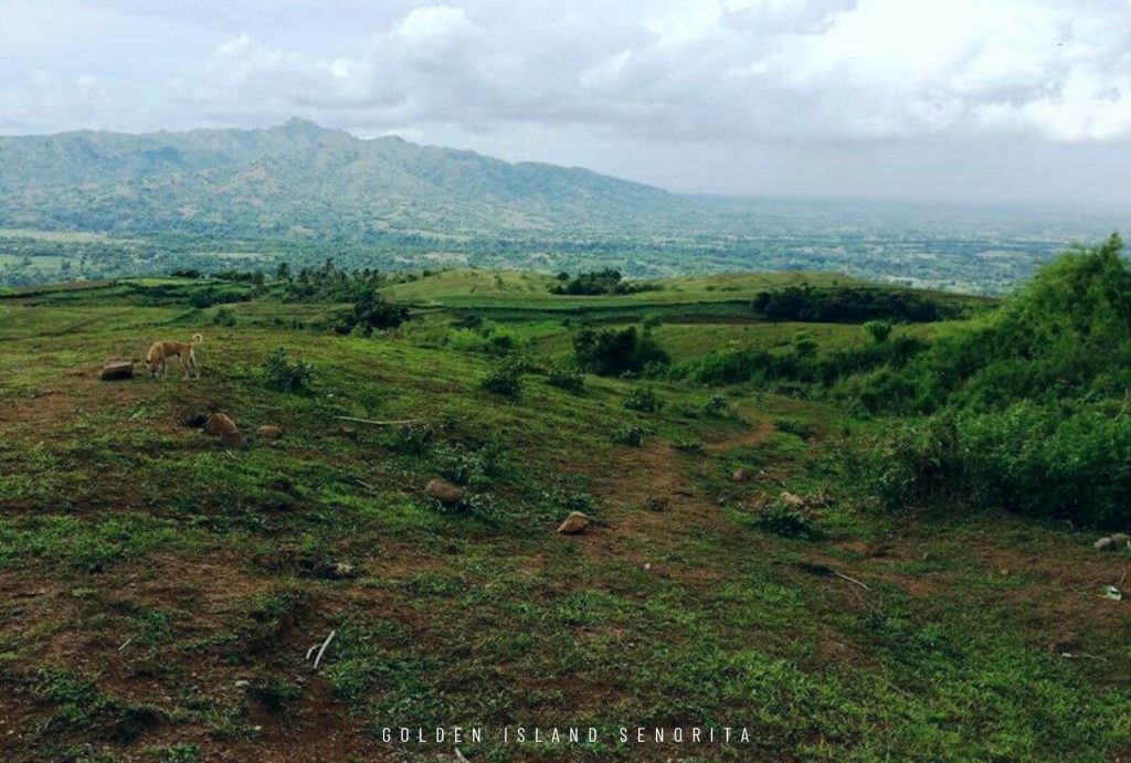 Mt. Talamitam in Nasugbu, Batangas - Day Hike Guide
