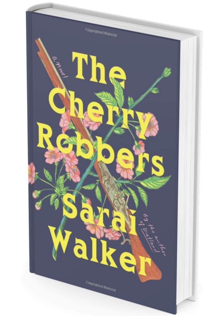 halloween books the cherry robbers 001 Top 5 New Gothic Books You Should Read This Halloween 2022 book review, gothic, gothic books, Halloween