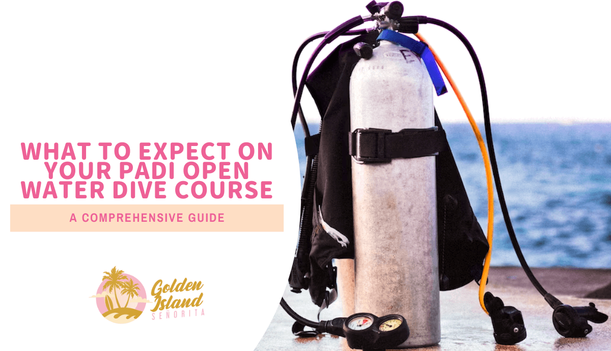 What To Expect on Your PADI Open Water Dive Course – A Comprehensive Guide
