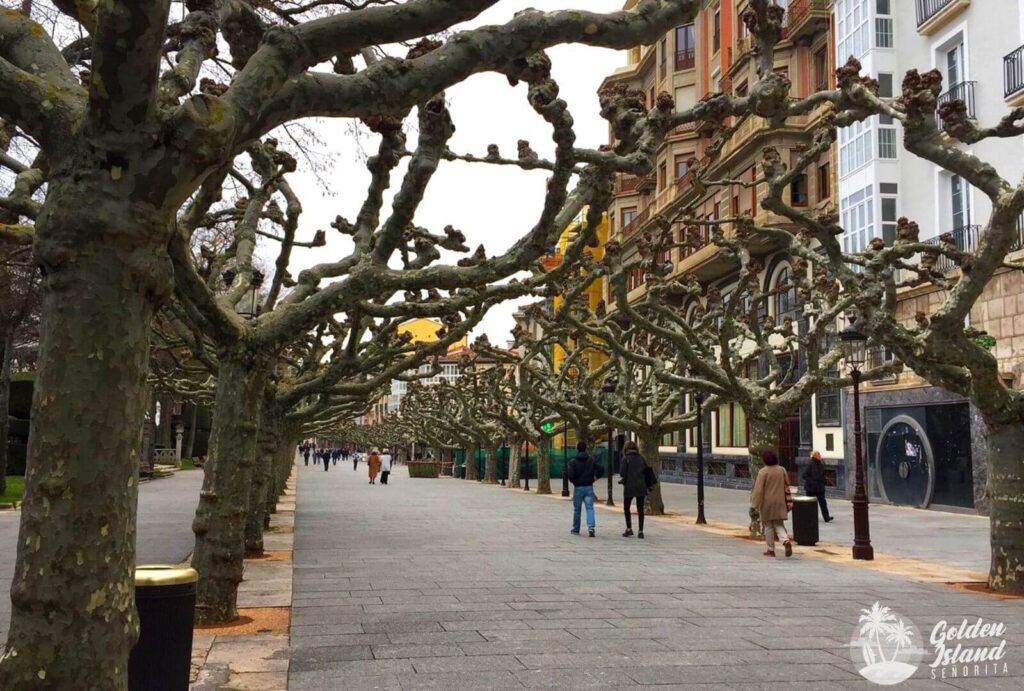 burgos paseo del espolon 001 Explore Burgos, Spain: Discover its History and Culinary Delights Burgos