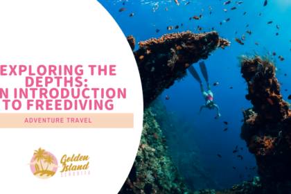 Exploring the Depths: An Introduction to Free Diving