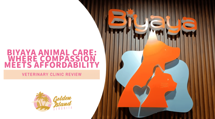 Biyaya Animal Care: Where Compassion Meets Affordability