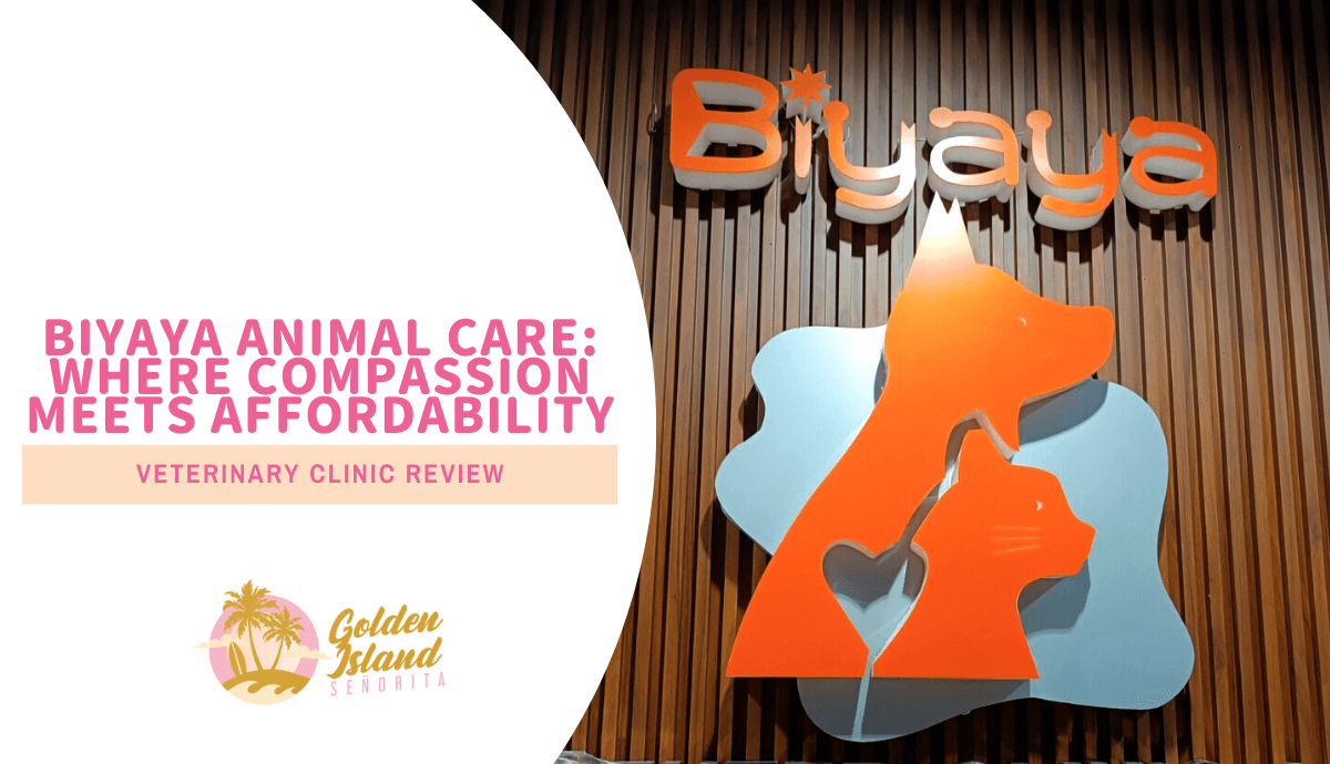 Biyaya Animal Care: Where Compassion Meets Affordability