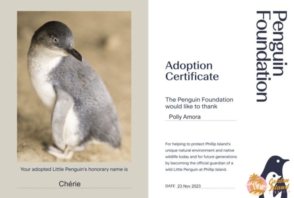 Waddle into Conservation: A Step-by-Step Guide on Adopting a Penguin through The Penguin Foundation