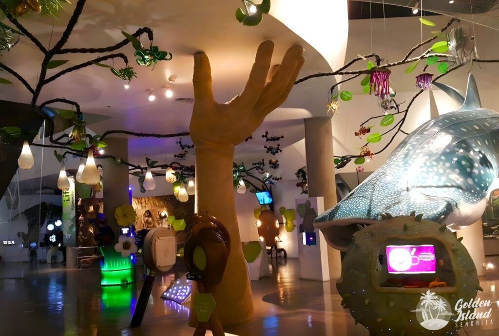 the mind museum taguig 003 Exploring The Mind Museum in BGC: A Comprehensive Guide Manila Travel Guide