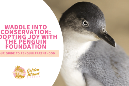 Waddle into Conservation: Adopting Joy with The Penguin Foundation – Your Guide to Penguin Parenthood!