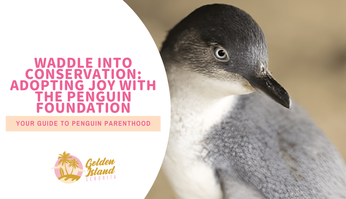 Waddle into Conservation: Adopting Joy with The Penguin Foundation – Your Guide to Penguin Parenthood!