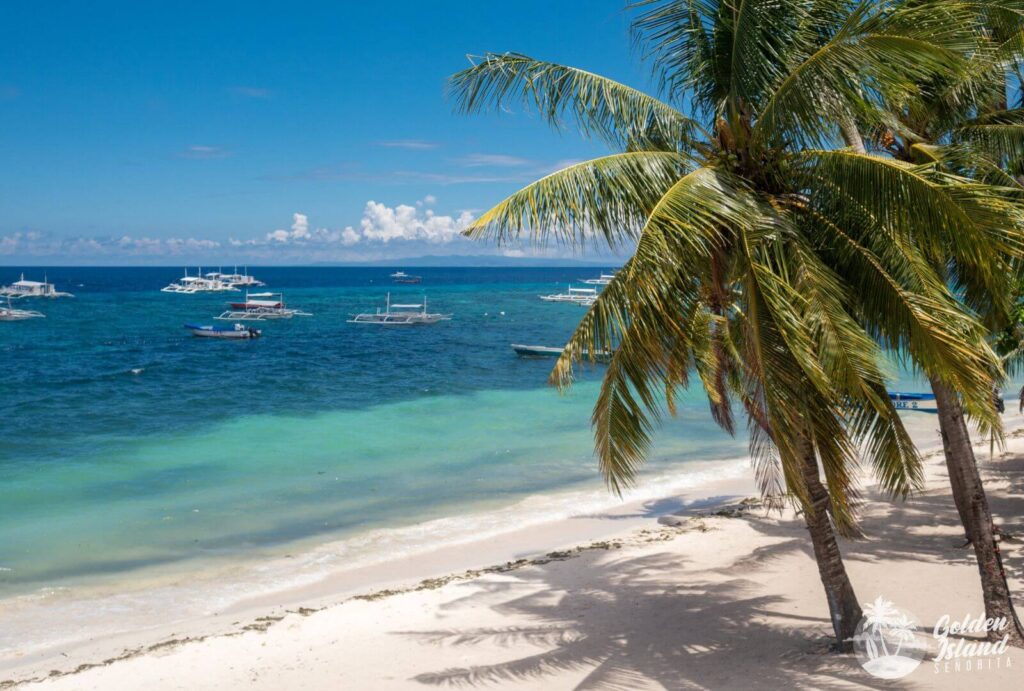 thank you 2023 bohol 001 Embracing Life's Adventures: A Journey Through 2023's Travel, Gratitude, and Lessons Learned