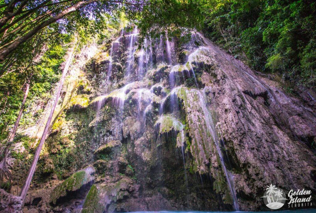 thank you 2023 cebu 001 Embracing Life's Adventures: A Journey Through 2023's Travel, Gratitude, and Lessons Learned