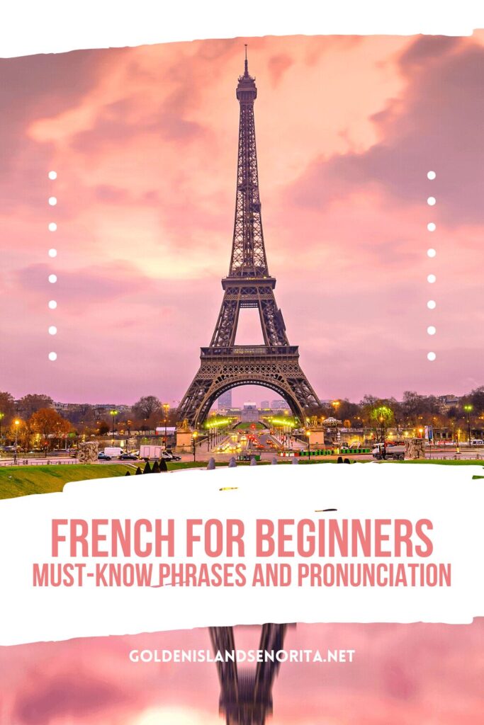 french for beginners pinterest pin 001 Say Bonjour to Your New Language: Master French For Beginners with Must-Know Phrases and Pronunciation! France, french, language, language lessons, Learn A Language