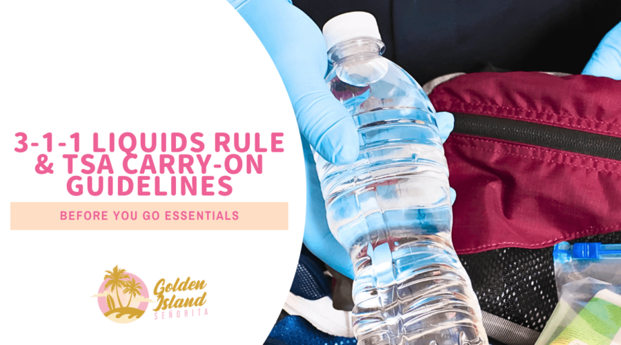 3-1-1 Liquids Rule & TSA Carry-On Guidelines: Important Thing To Know