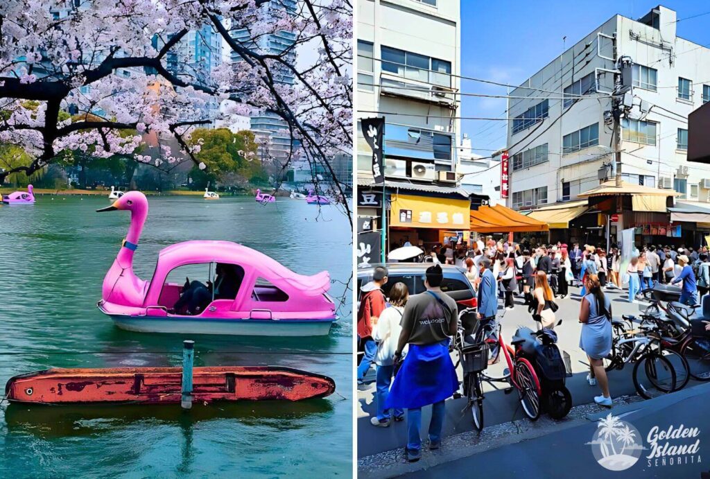 Best FREE Places to Visit in Tokyo: 20 Destinations to Experience without Admission Fees
