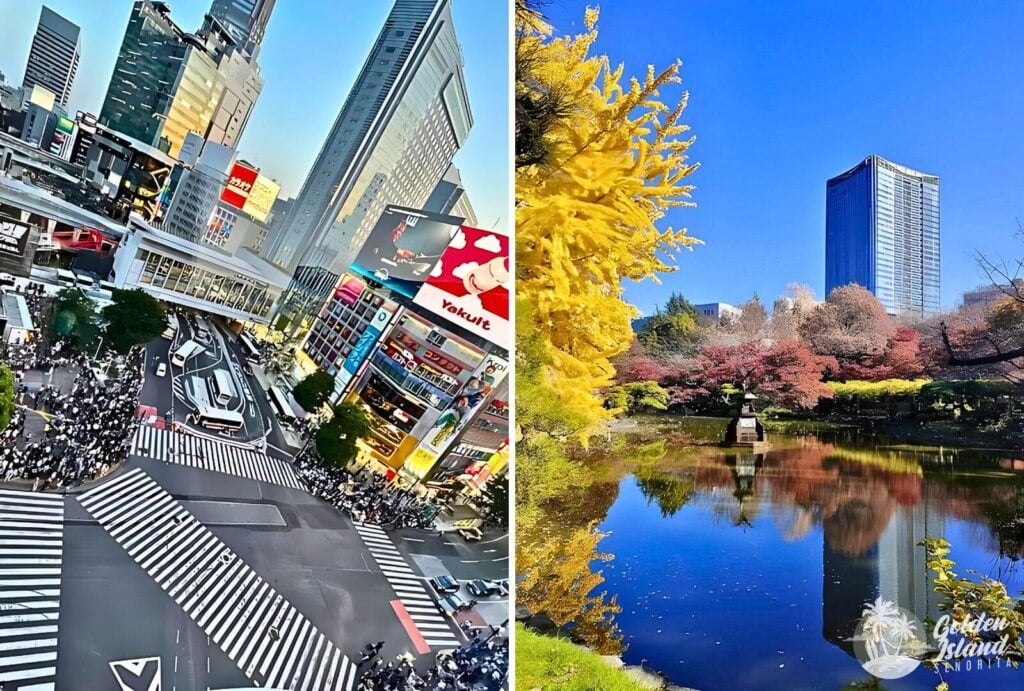 Best FREE Places to Visit in Tokyo: 20 Destinations to Experience without Admission Fees