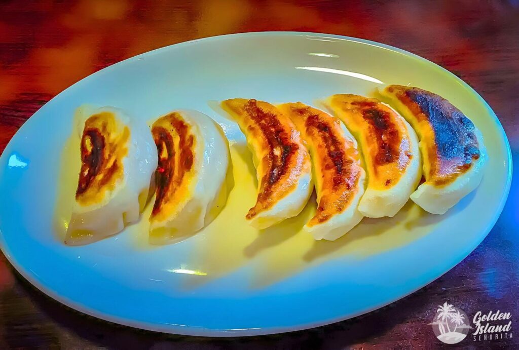 asakusa food 001 gyoza 1 ASAKUSA (TOKYO, JAPAN): Everything You MUST Know Before You Go Asakusa, Japan, Japan Travel Guide, Japan Travel Tips, Tokyo, Travel, Travel Guide, Travel Japan