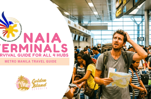 Ah Sh*t, Here We Go Again: Your NAIA Terminals Survival Guide for All 4 Hubs