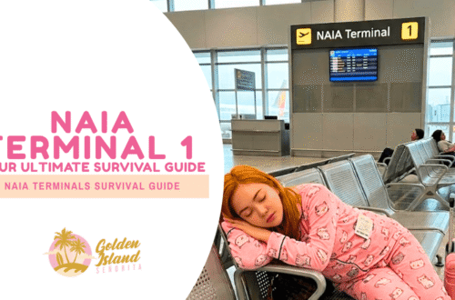 NAIA Terminal 1, PH: Your Ultimate Survival Guide 7 NAIA Terminal 1, PH: Your Ultimate Survival Guide